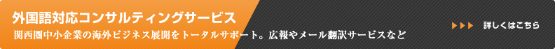 外国語対応コンサルティングサービス